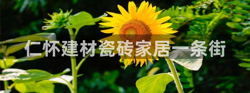 杏鑫娱乐是真的吗知乎