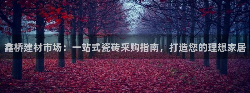杏鑫平台代理怎么样啊