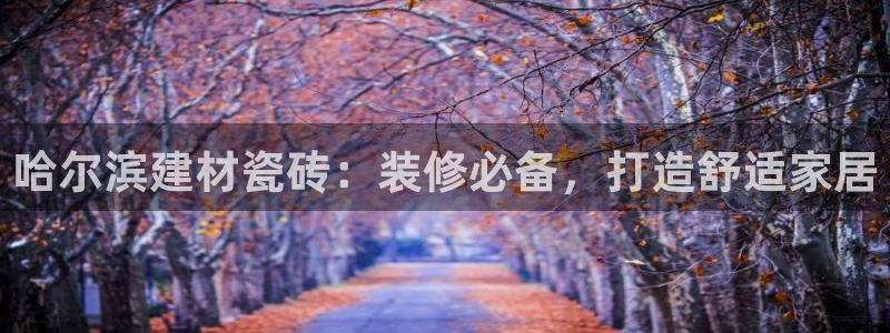 杏鑫官网最新信息新闻