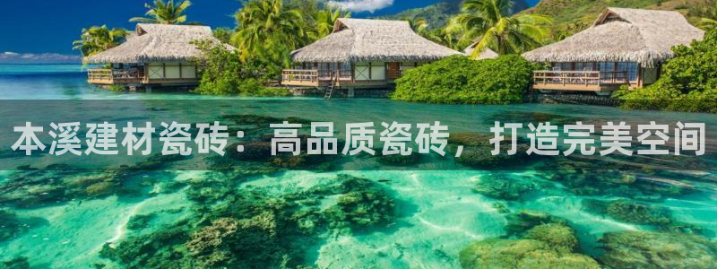 杏鑫平台怎么样知乎