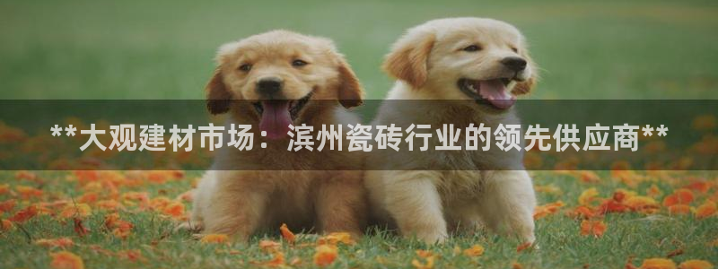 杏鑫官网注册账号怎么注册的