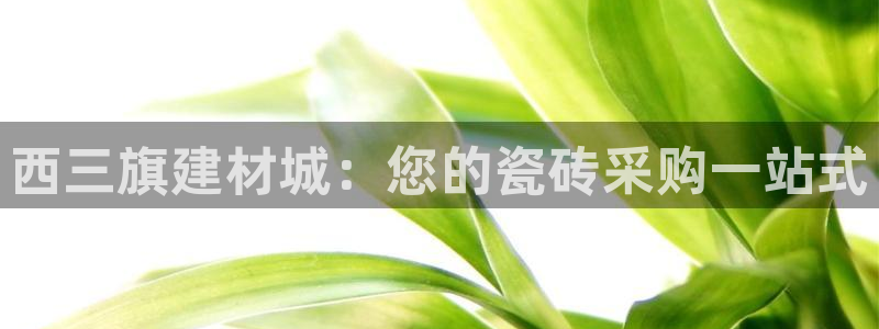 杏鑫平台注册登录