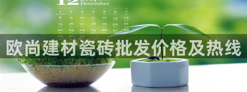 杏鑫平台注册地址