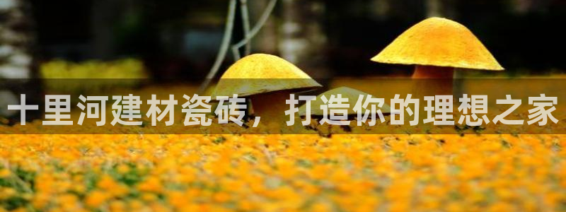 杏鑫注册平台官方网站入口