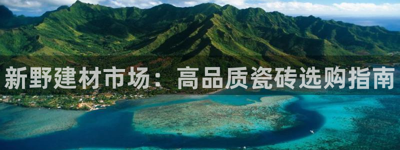 杏鑫注册登录代理公司
