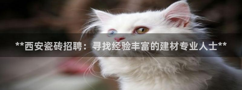 杏鑫注册