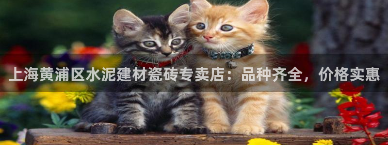 杏鑫注册登录网址是多少