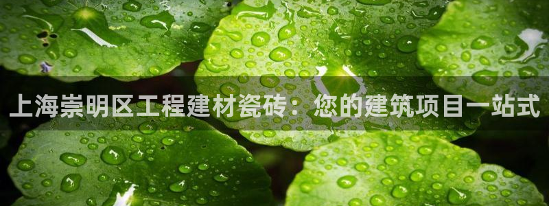 杏鑫平台念7O777