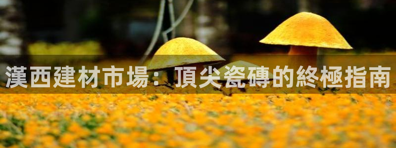 杏鑫娱乐官网登录