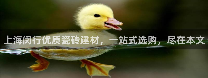 杏鑫注册登录平台