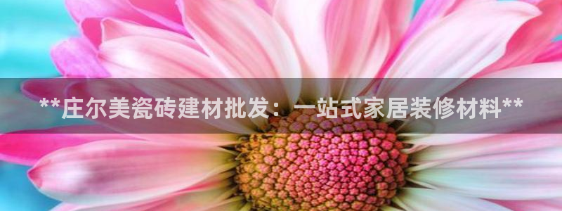 杏鑫娱乐怎么下