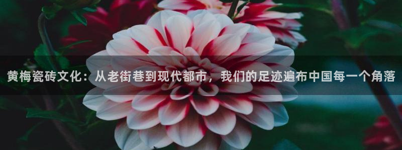 杏鑫官网注册账号怎么注册