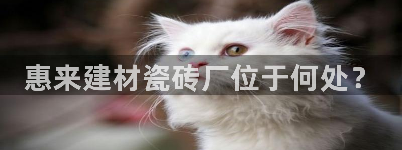 杏鑫平台怎么样黑钱吗是真的吗知乎