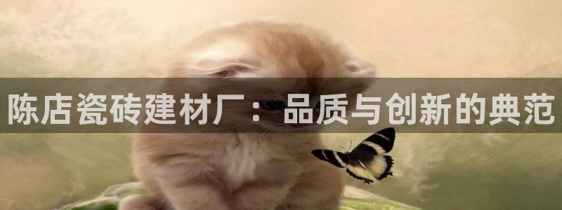 杏鑫3主管