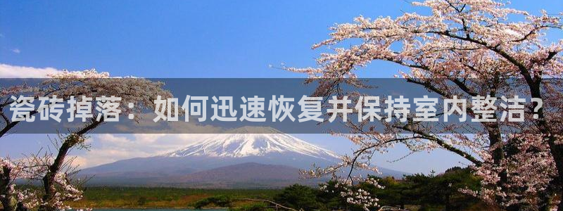 杏鑫官网注册账号怎么注册不了