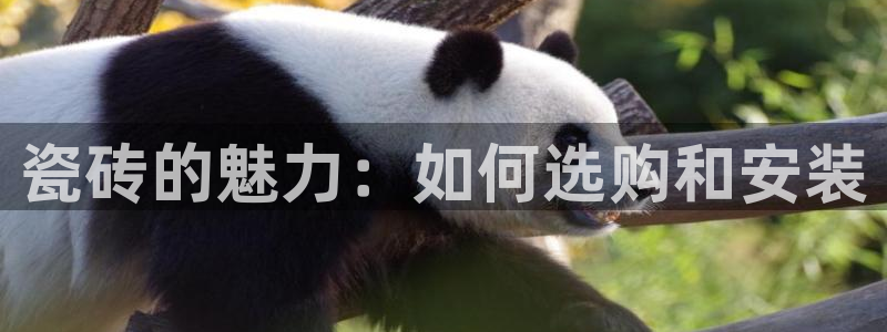 杏鑫平台招商