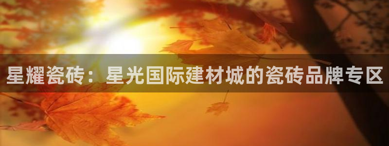 杏鑫平台怎么样黑钱吗知乎