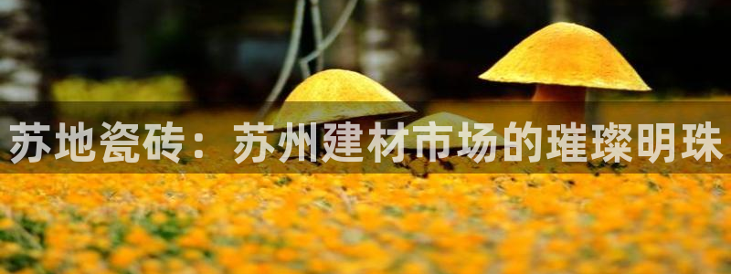 杏鑫注册平台官方网站入口