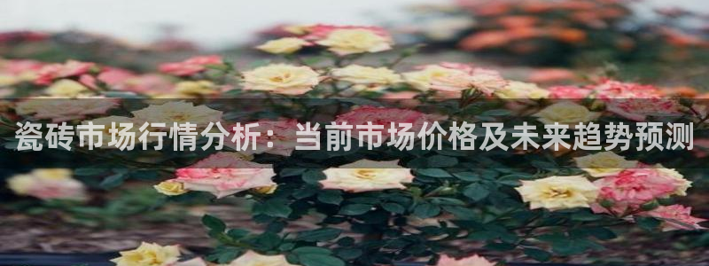 杏鑫3主管