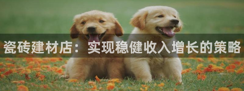 杏鑫登录注册测速