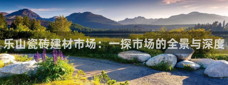 杏鑫平台代理怎么样啊