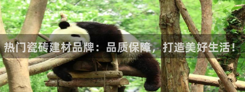 杏鑫平台招商电话