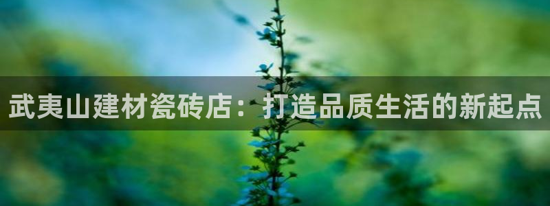 杏鑫平台是黑平台吗