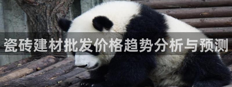 杏鑫平台注册地址是哪里