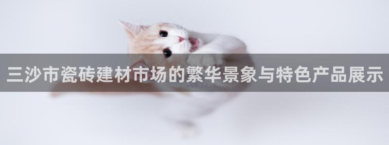 杏鑫官方app代理