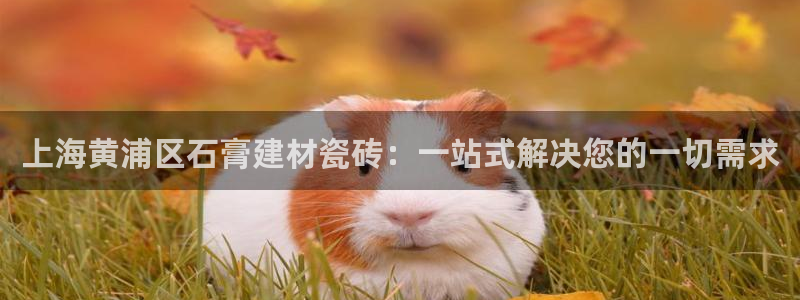 杏鑫平台招商电话号码