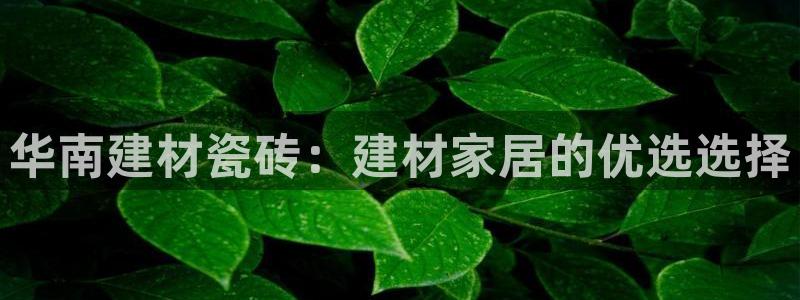 杏鑫平台代理注册流程及费用