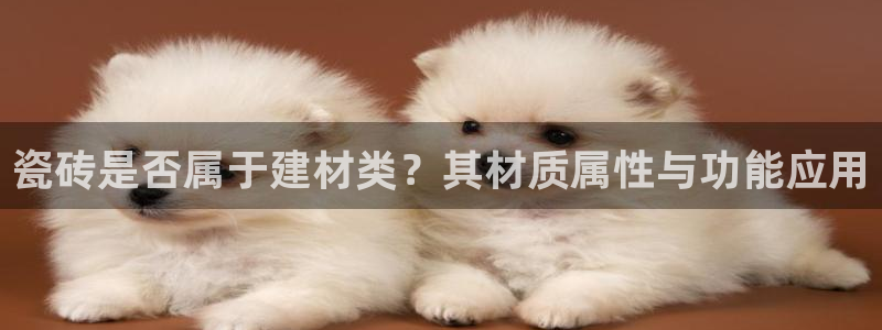 杏鑫娱乐官方网站客户端下载