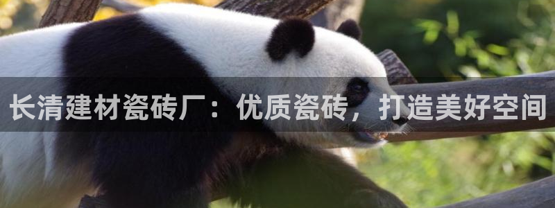 杏鑫平台注册网址