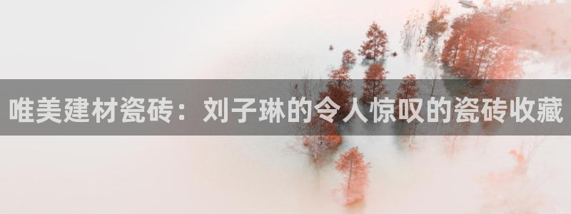 杏鑫平台代理注册登录不了怎么办呀苹果