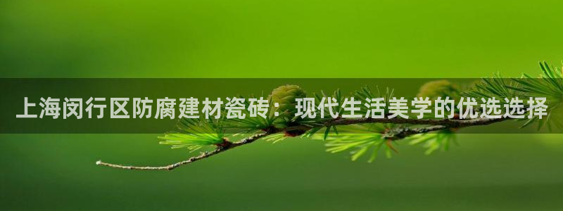 杏鑫平台注册地址是哪里