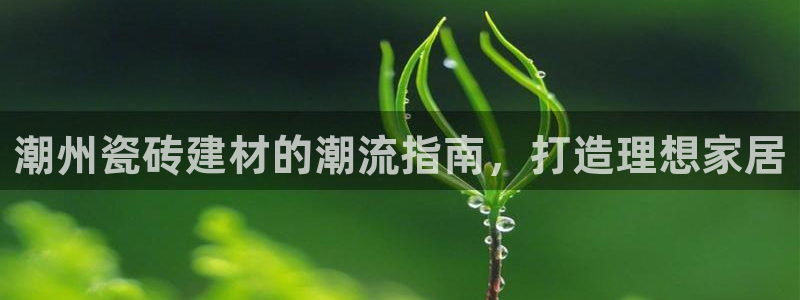 杏鑫平台注册网址是什么