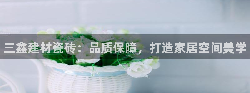 杏鑫官网注册账号是什么样的