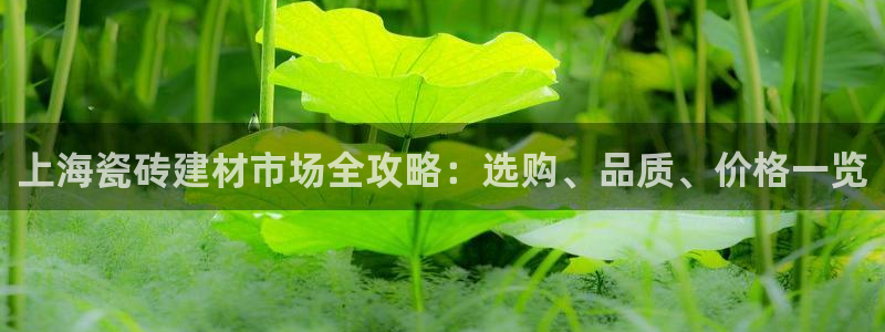 杏鑫登录注册测速