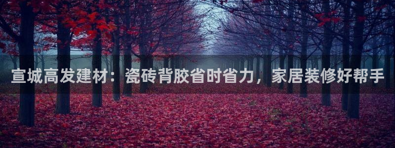 杏鑫平台代理注册流程