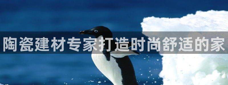 杏鑫官网注册账号是什么