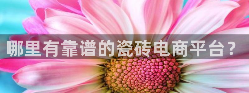 杏鑫平台登录注册