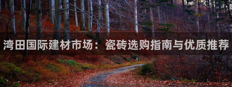 杏鑫平台代理注册