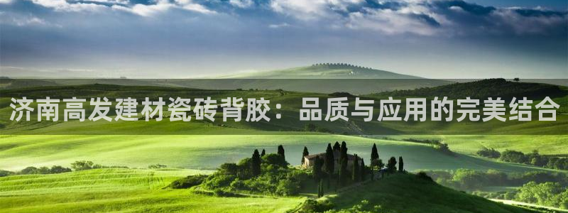 杏鑫注册登录代理公司