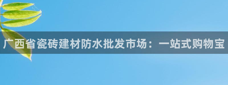 杏鑫平台代理注册流程图