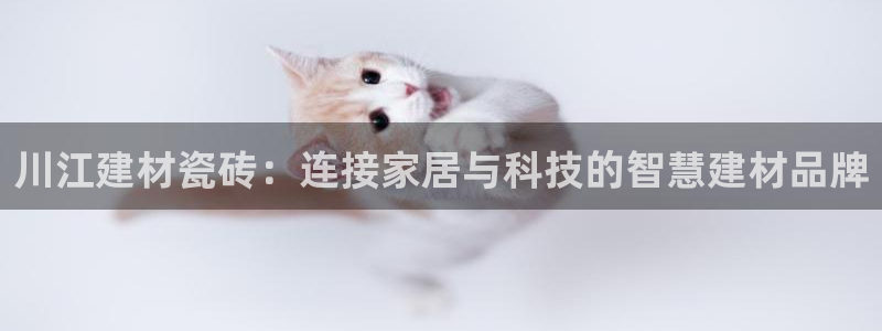 杏鑫平台代理注册流程