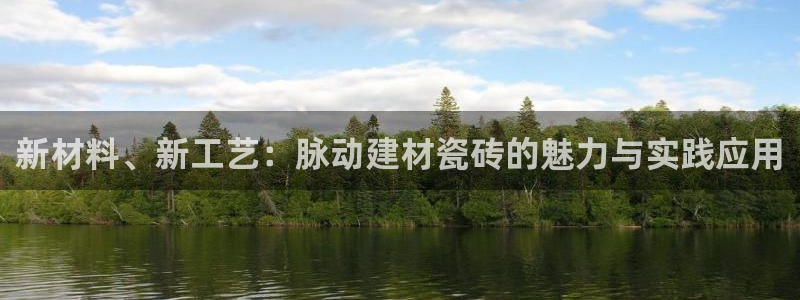 杏鑫平台代理注册流程