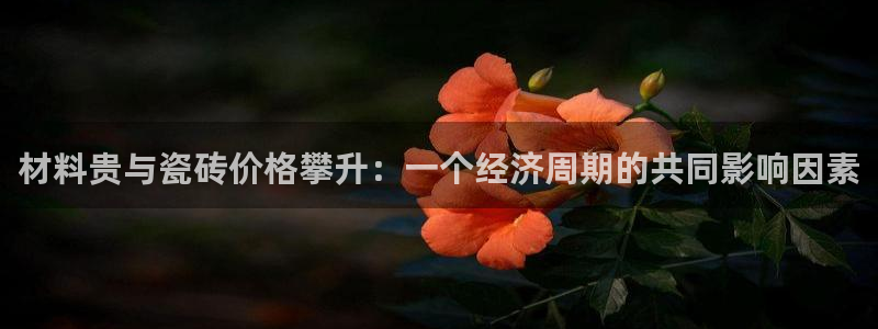 杏鑫平台代理注册流程图