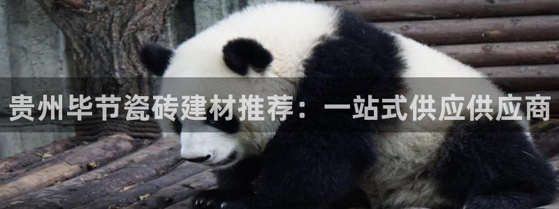 杏鑫平台代理注册登录不了怎么办呀视频