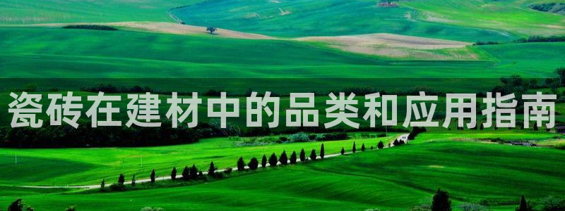 杏鑫平台线路测速