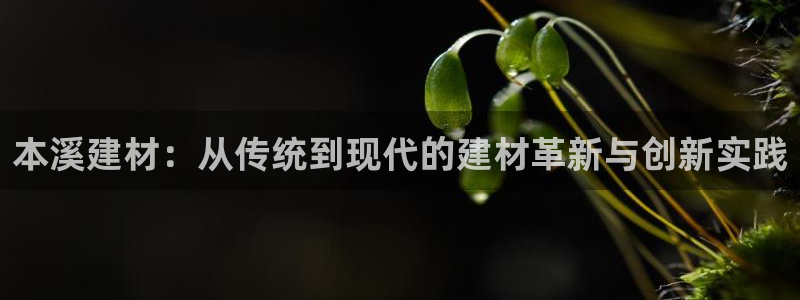 杏鑫平台怎么样黑钱吗